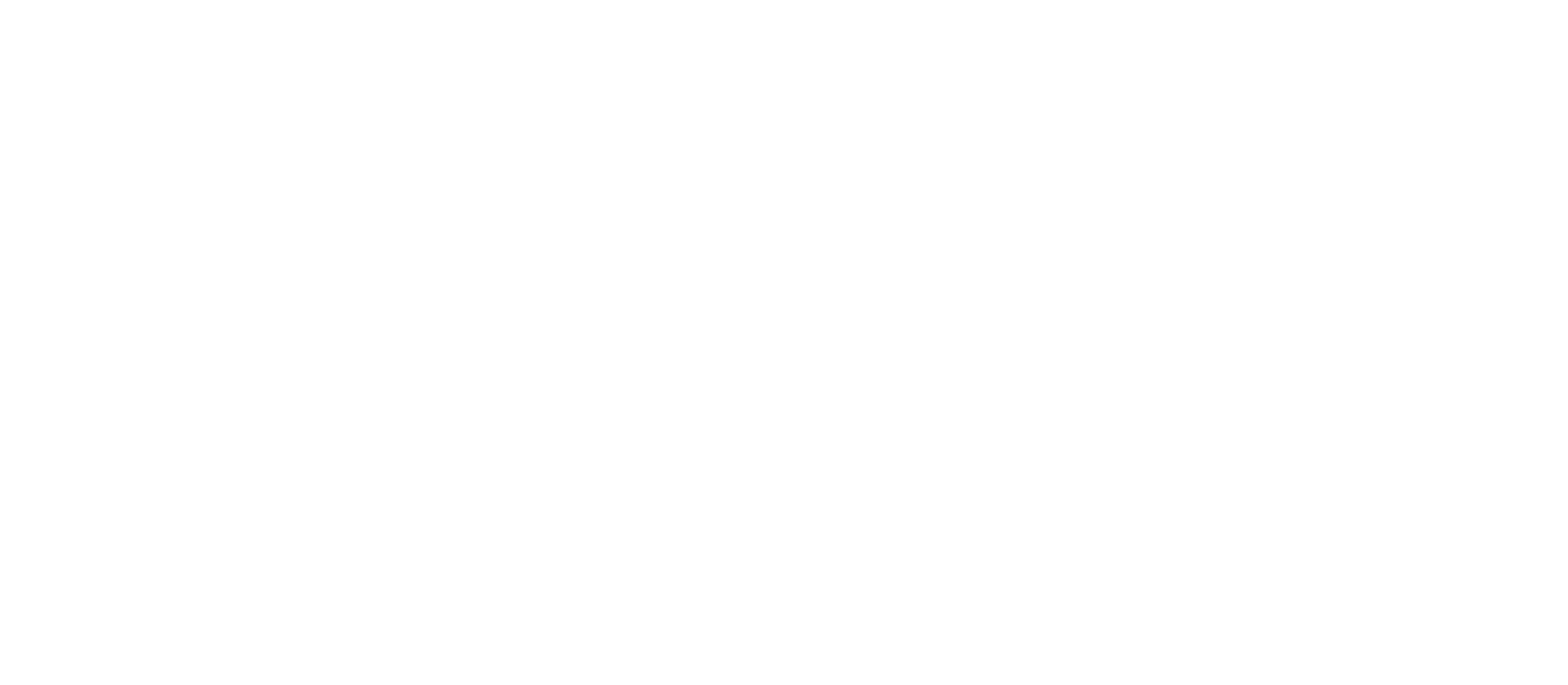 logo aerien